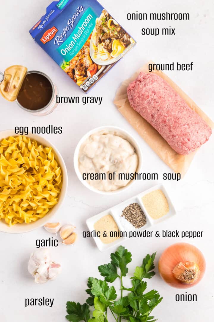 Top-down view of ingredients for a recipe, including ground beef, egg noodles, an onion, garlic, fresh parsley, brown gravy, onion mushroom soup mix, cream of mushroom soup, garlic powder, onion powder, and black pepper.