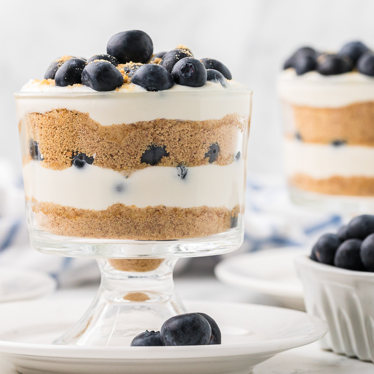A layered dessert in a glass stands on a white plate, featuring alternating layers of creamy filling, crushed graham crackers, and fresh blueberries. More blueberries are scattered on top and in a small bowl nearby.