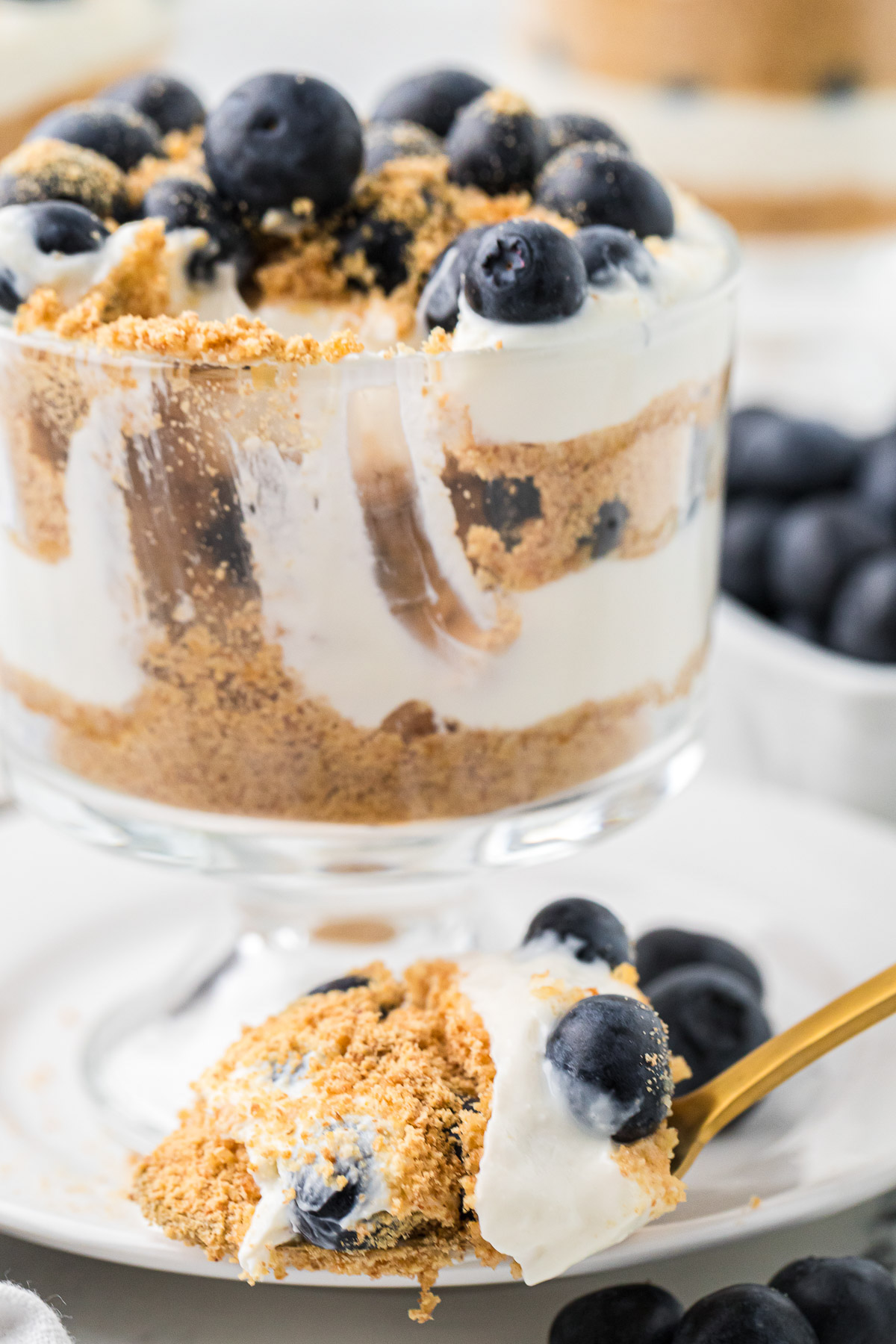 A close-up of a dessert glass filled with layers of crumbled graham crackers, creamy white filling, and blueberries, with a spoonful of the layered dessert and a blueberry resting on a plate in front.
