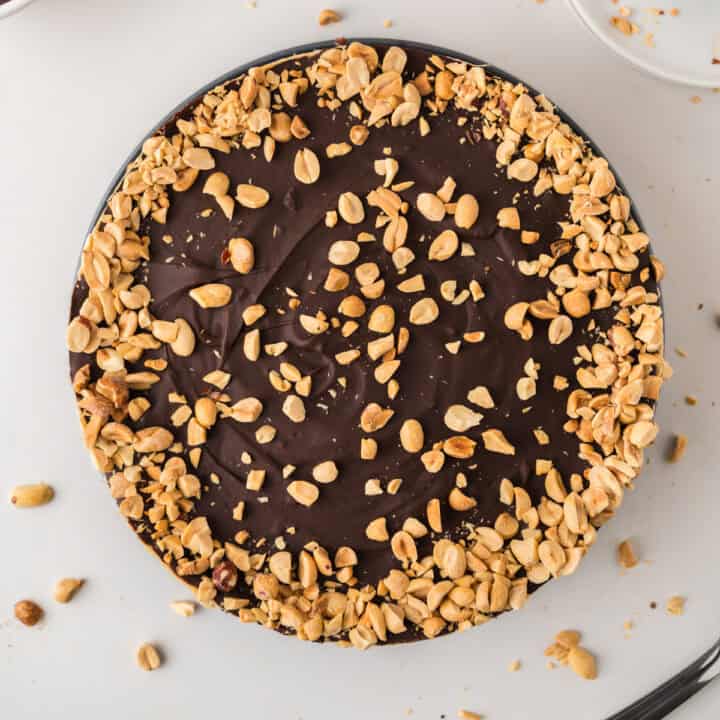 A round chocolate cake topped with a layer of glossy chocolate ganache and sprinkled with chopped peanuts around the edge and center, sitting on a white surface.